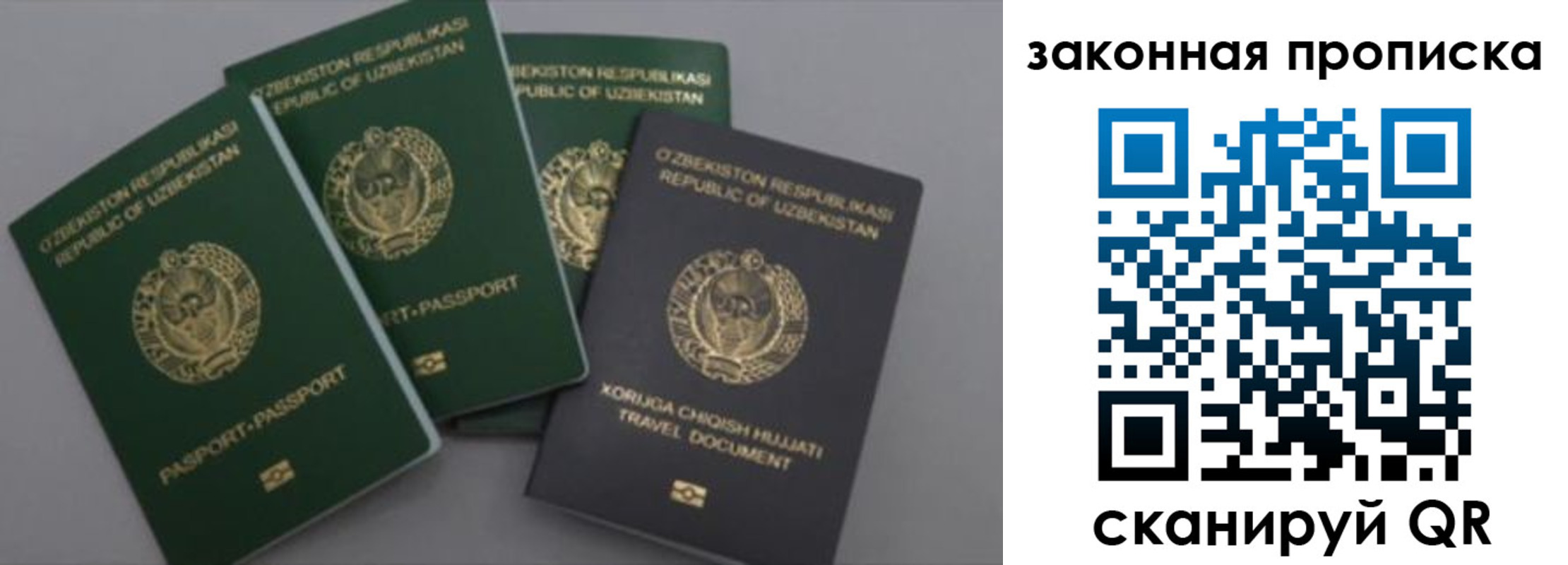 прописка законно в Бологом